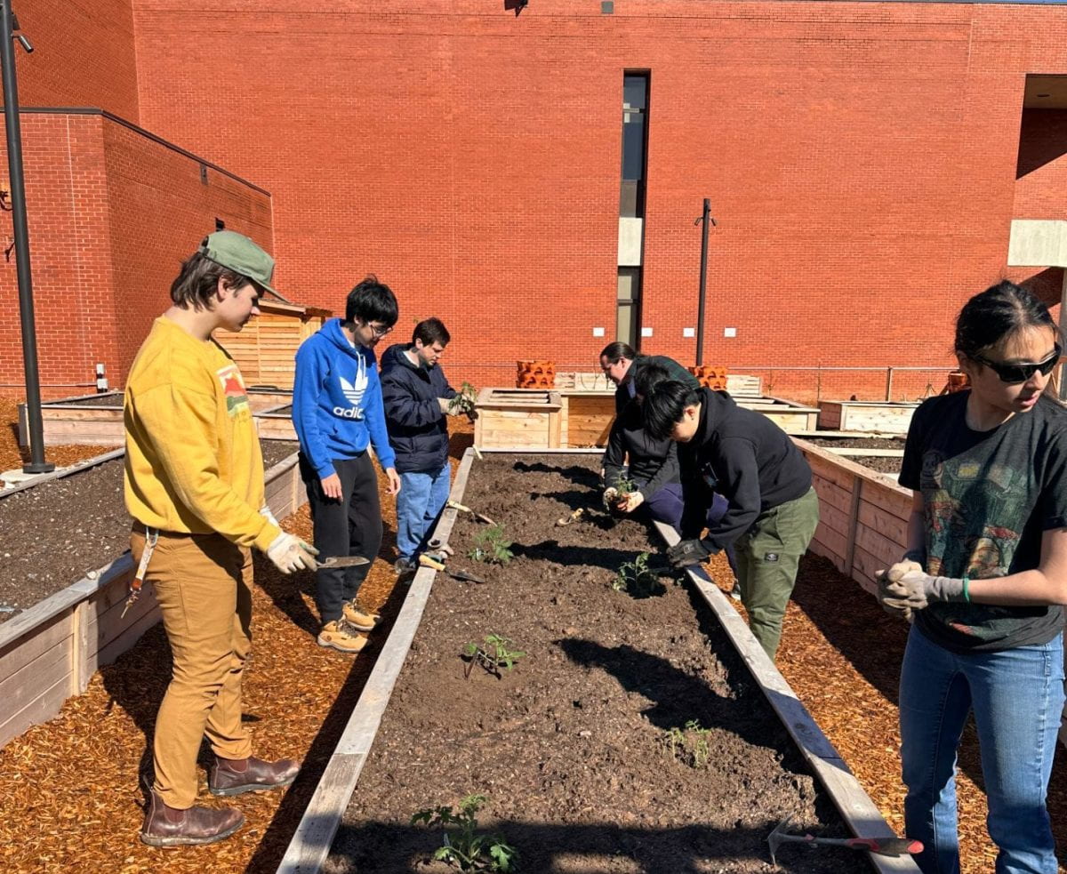 Food for Thought, Soul, and Campus: Georgia Tech’s Community Garden