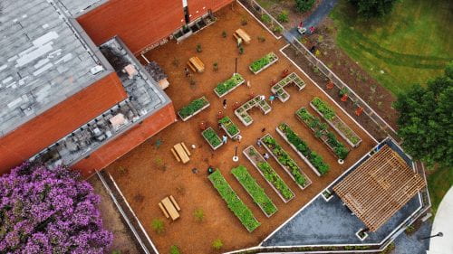 An aerial shot of the community garden. The garden has multiple planting stations, both in rows and U-shapes. Also visible are multiple picnic tables and the pergola.
